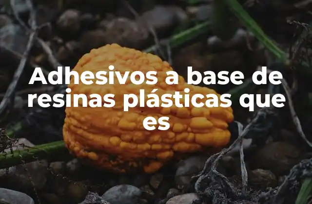 Adhesivos a Base de Resinas Plásticas que es