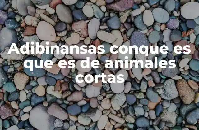 Adibinansas Conque es que es de Animales Cortas