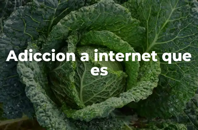 Adiccion a Internet que es