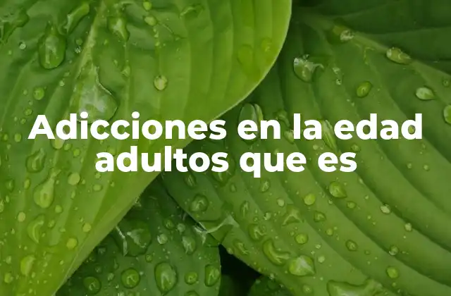 Adicciones en la Edad Adultos que es