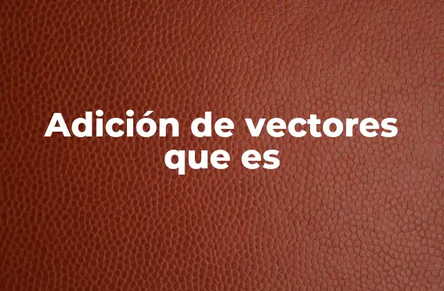 Conceptos básicos para entender la suma de vectores