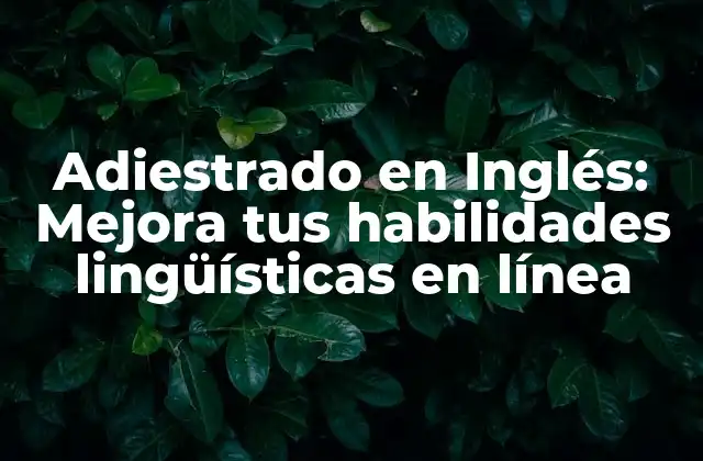 Adiestrado en Inglés: Mejora Tus Habilidades Lingüísticas en Línea