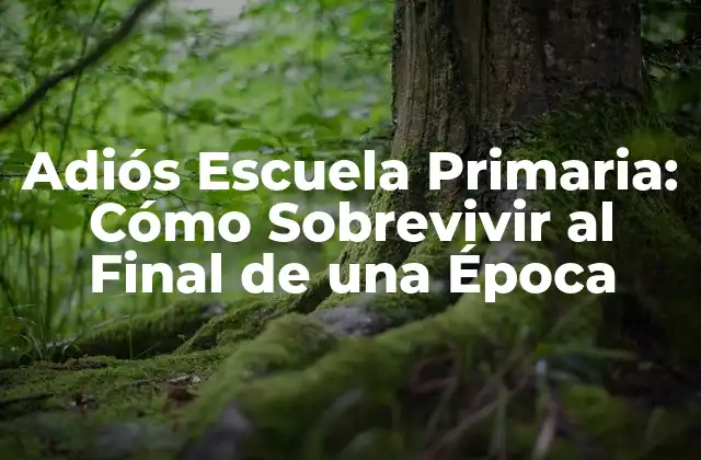Adiós Escuela Primaria: Cómo Sobrevivir Al Final de una Época