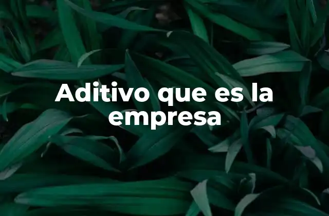 Aditivo que es la Empresa