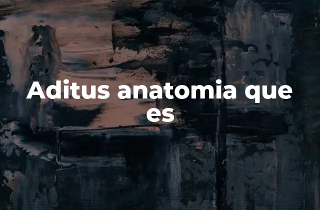Aditus Anatomia que es