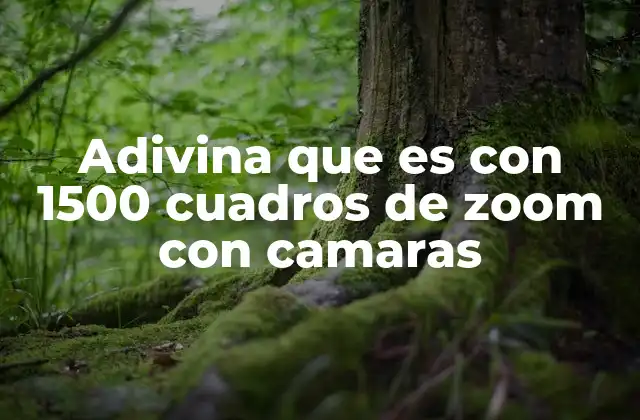 Adivina que es con 1500 Cuadros de Zoom con Camaras