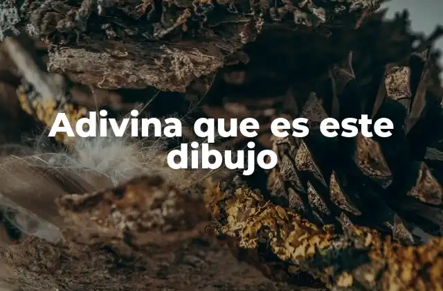 Adivina que es Este Dibujo