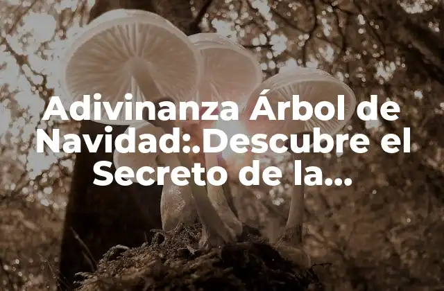 Adivinanza Árbol de Navidad:.descubre el Secreto de la Decoración Navideña