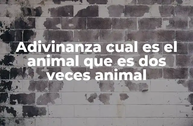 Adivinanza Cual es el Animal que es Dos Veces Animal