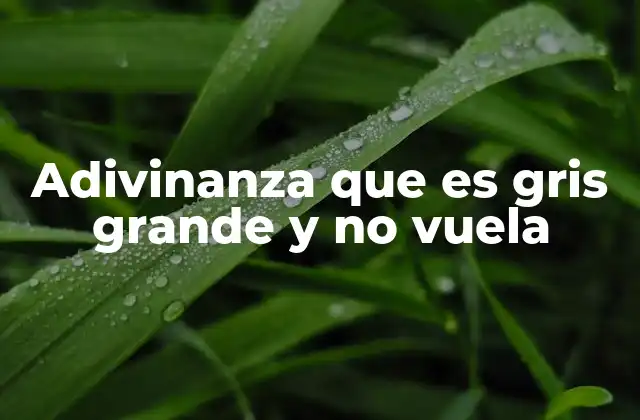 Adivinanza que es Gris Grande y No Vuela