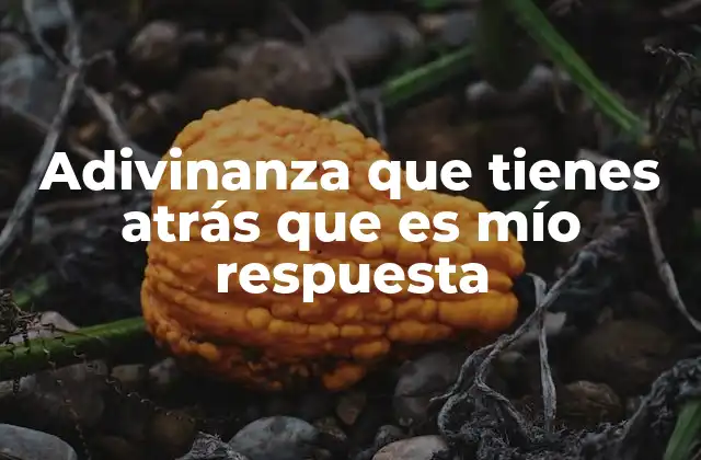 Adivinanza que Tienes Atrás que es Mío Respuesta