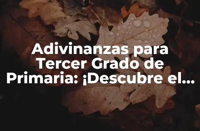 Adivinanzas para Tercer Grado de Primaria: ¡descubre el Diversión!