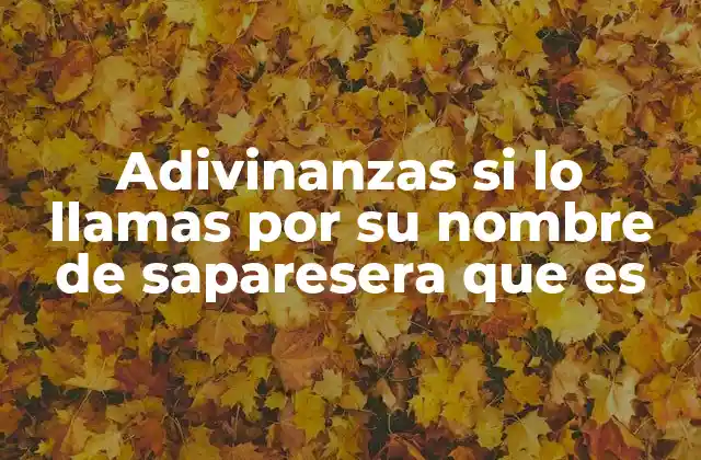 Adivinanzas Si Lo Llamas por Su Nombre de Saparesera que es