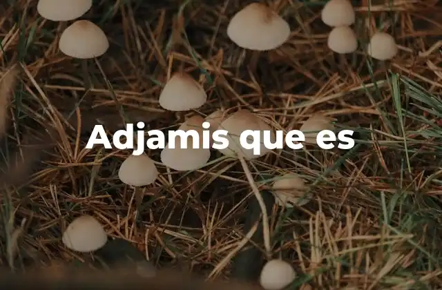 Adjamis que es