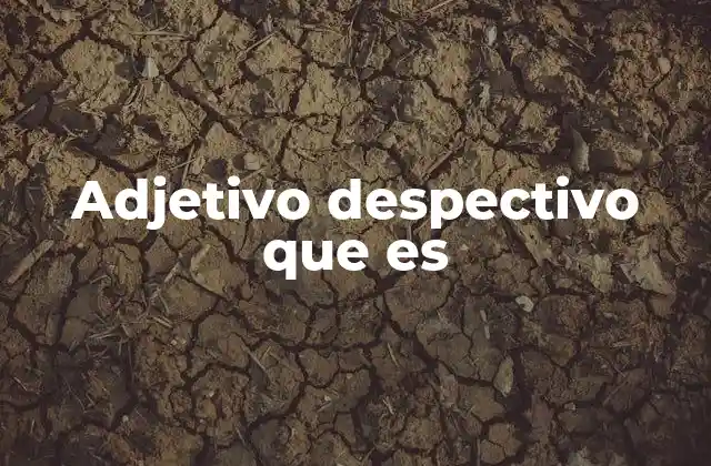 Adjetivo Despectivo que es