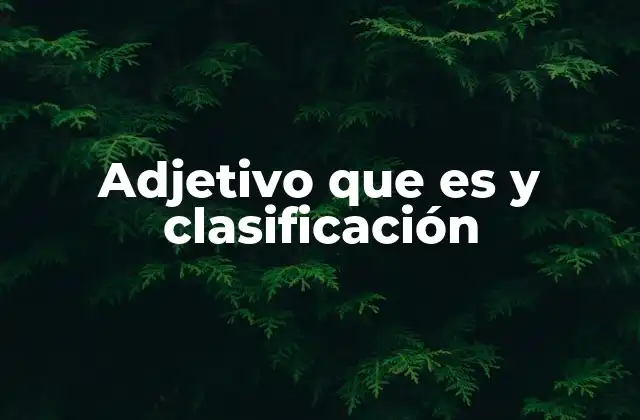 Adjetivo que es y Clasificación