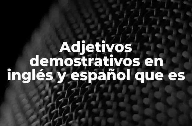 La importancia de los adjetivos demostrativos en la comunicación efectiva