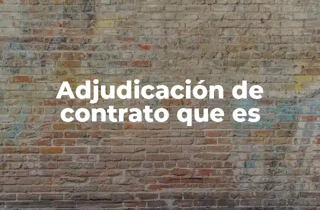 Adjudicación de Contrato que es