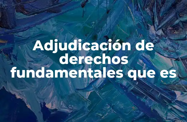 Adjudicación de Derechos Fundamentales que es