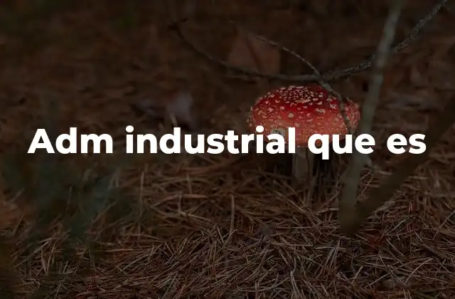 Adm Industrial que es