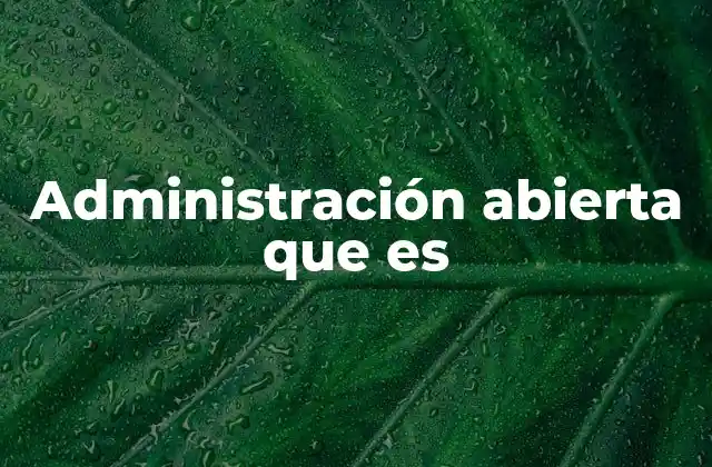 Administración Abierta que es