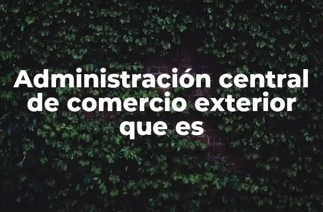 Administración Central de Comercio Exterior que es
