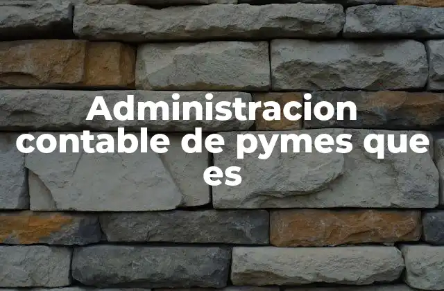 Administracion Contable de Pymes que es