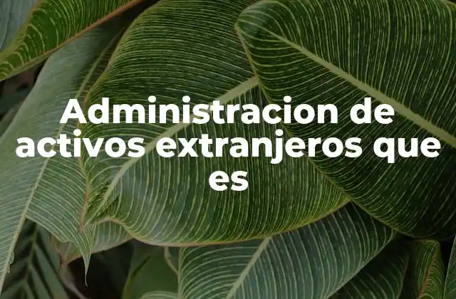 Administracion de Activos Extranjeros que es