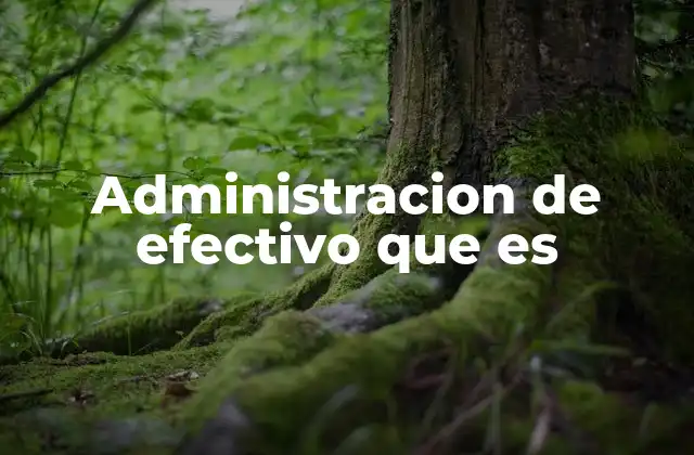 Administracion de Efectivo que es
