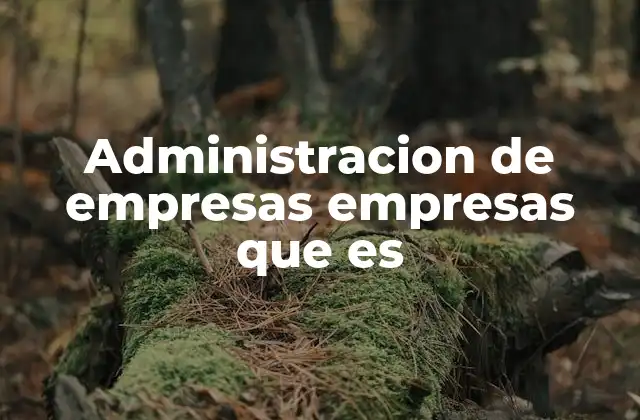 Administracion de Empresas Empresas que es 2 La importancia de una buena gestión empresarial