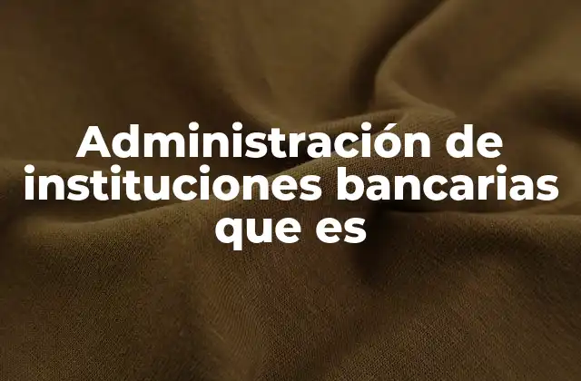Administración de Instituciones Bancarias que es