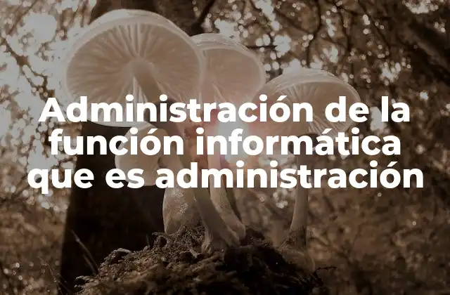 Administración de la Función Informática que es Administración