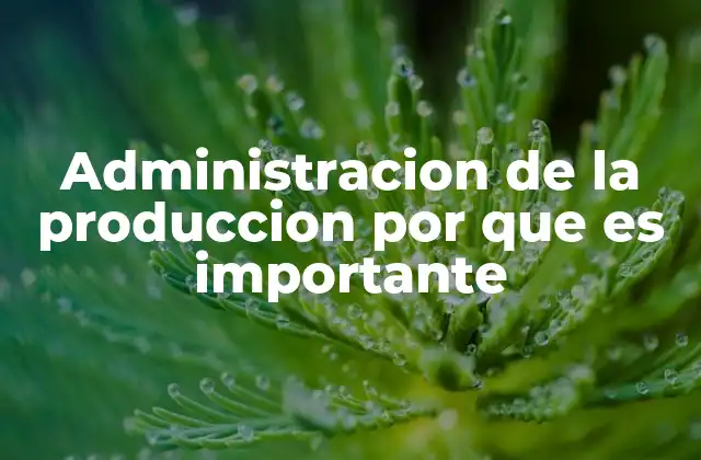 Administracion de la Produccion por que es Importante