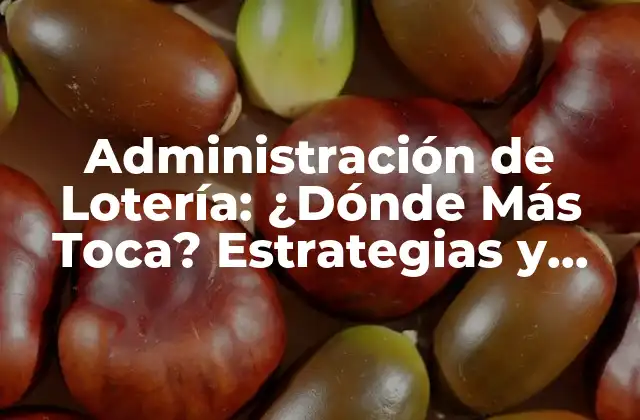 Administración de Lotería: ¿dónde Más Toca? Estrategias y Tips para Ganar