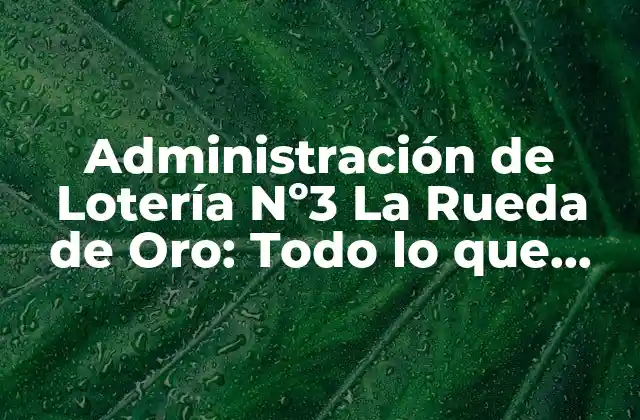 Administración de Lotería Nº3 la Rueda de Oro: Todo Lo que Necesitas Saber