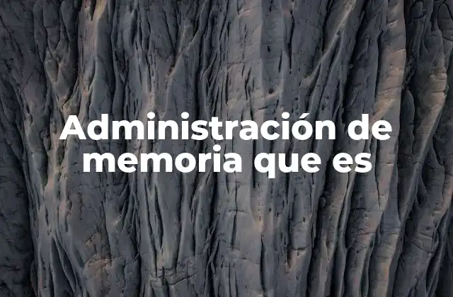 Administración de Memoria que es