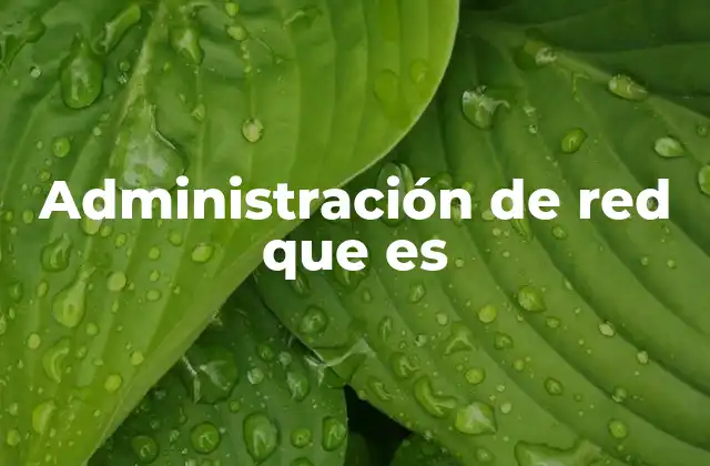 Administración de Red que es