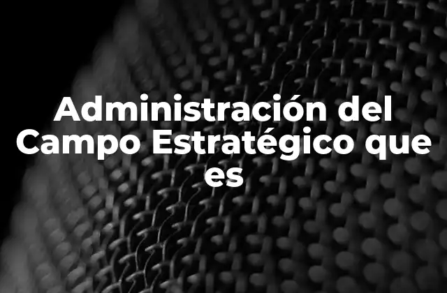 Administración Del Campo Estratégico que es