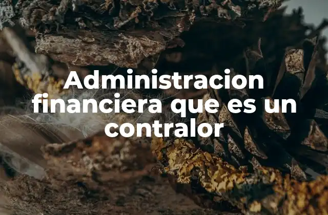 Administracion Financiera que es un Contralor