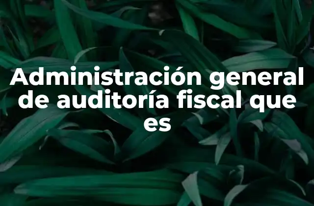 Administración General de Auditoría Fiscal que es 2 La importancia de la supervisión fiscal en el manejo de los recursos públicos