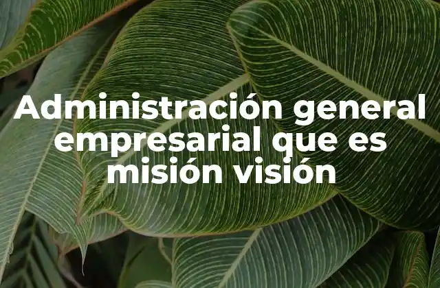 Administración General Empresarial que es Misión Visión 2 Cómo la administración general define la identidad de una organización