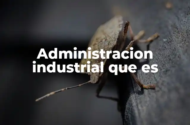 Administracion Industrial que es