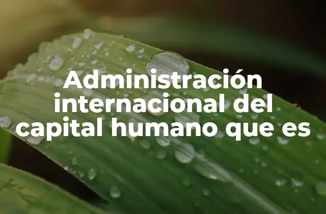 Administración Internacional Del Capital Humano que es