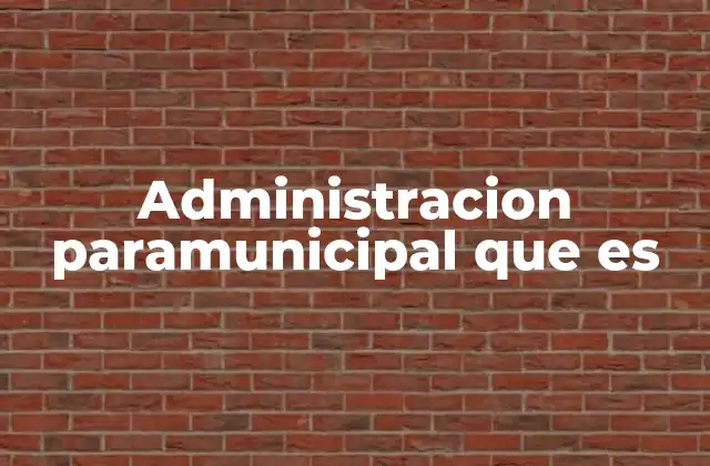 Administracion Paramunicipal que es