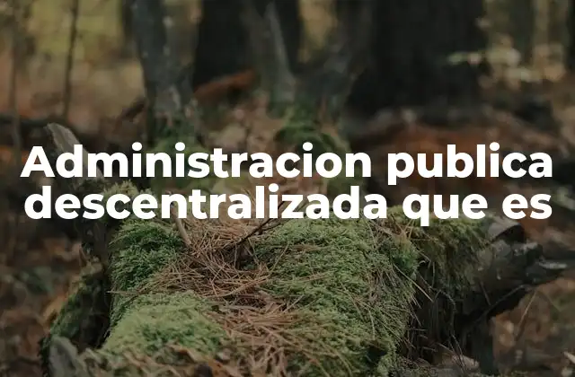 Administracion Publica Descentralizada que es