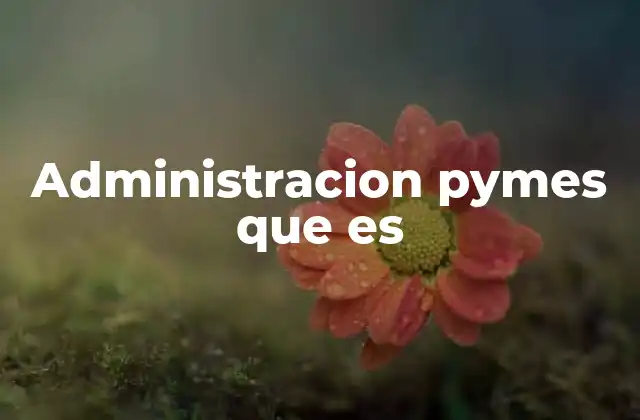 Administracion Pymes que es