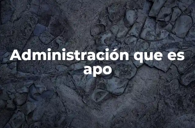 Administración que es Apo 2 Cómo la administración APO mejora la eficiencia operativa