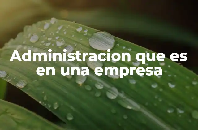 Administracion que es en una Empresa