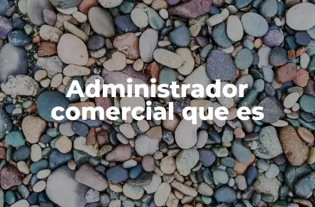 Administrador Comercial que es