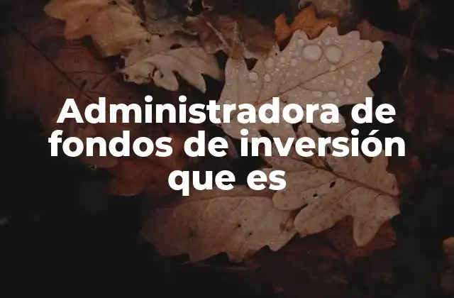 Administradora de Fondos de Inversión que es